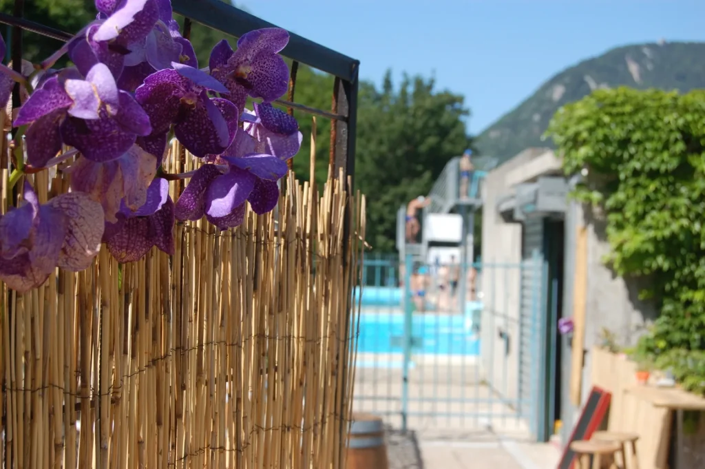 piscine snack restaurant