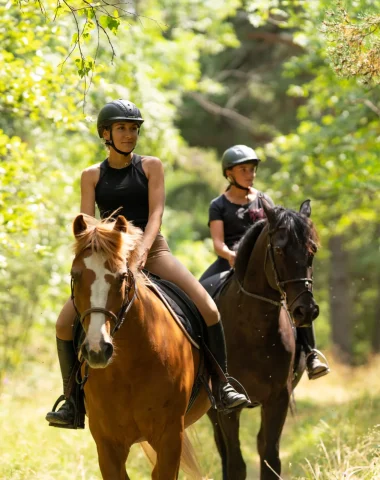 Équitation