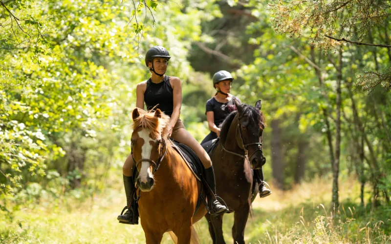 Équitation