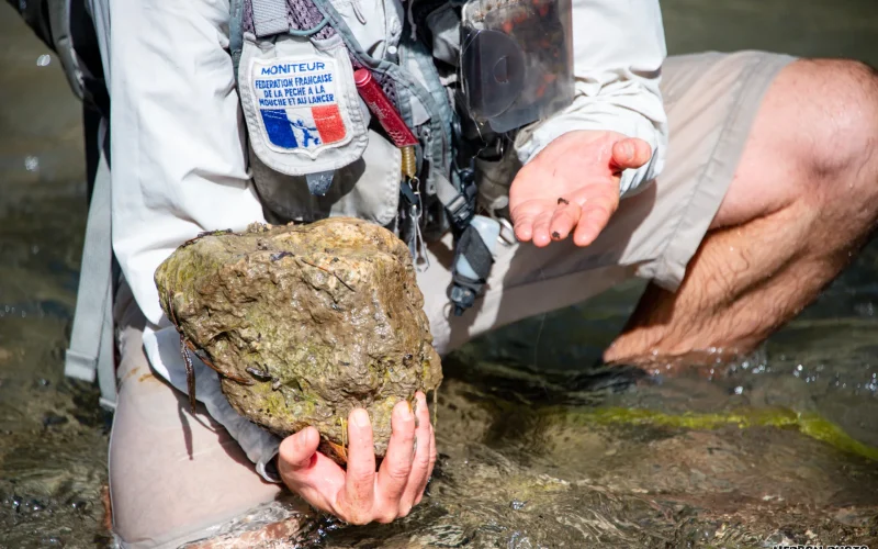Cartes de pêche